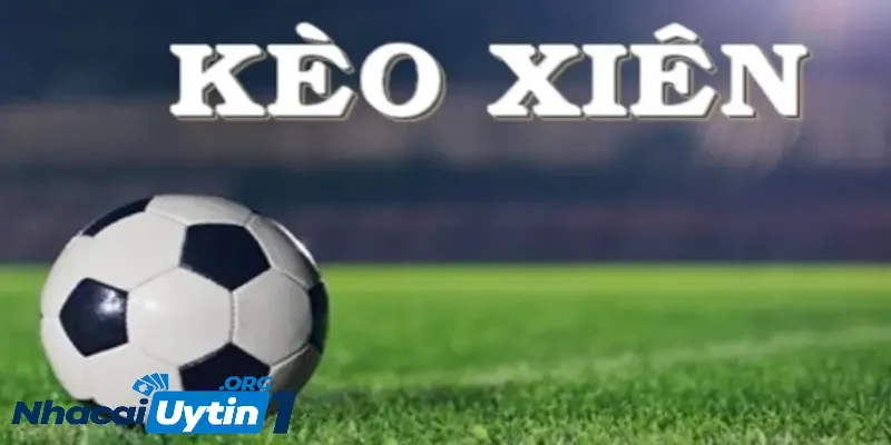Tổng hợp những kinh nghiệm soi kèo xiên hiệu quả